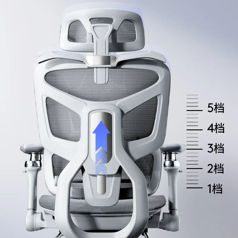 Cadeira Ergonômica para Comput - Ergonomic Office Chair avaliação e preço
